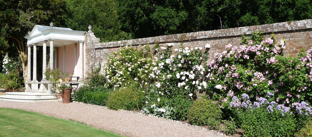 Rose Wall Home